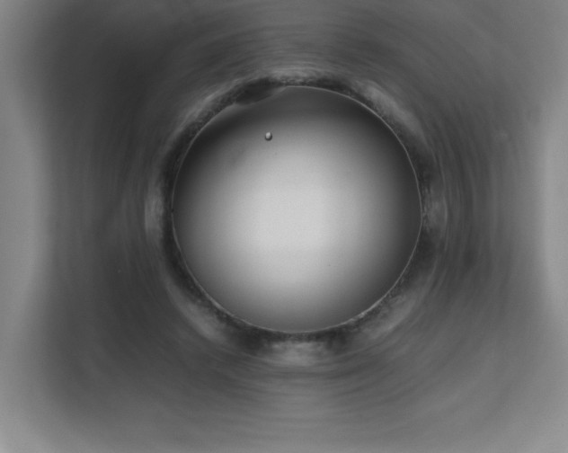 X0000111390448200907101150