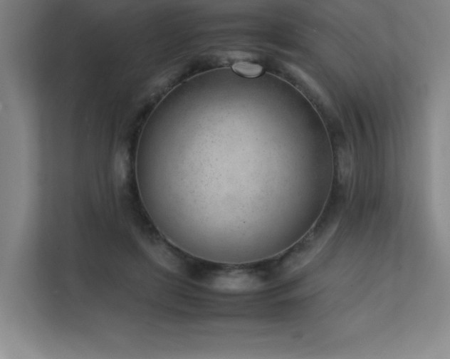 X0000111390451200907101150