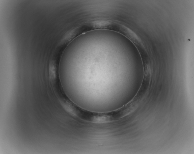 X0000111390452200907101150