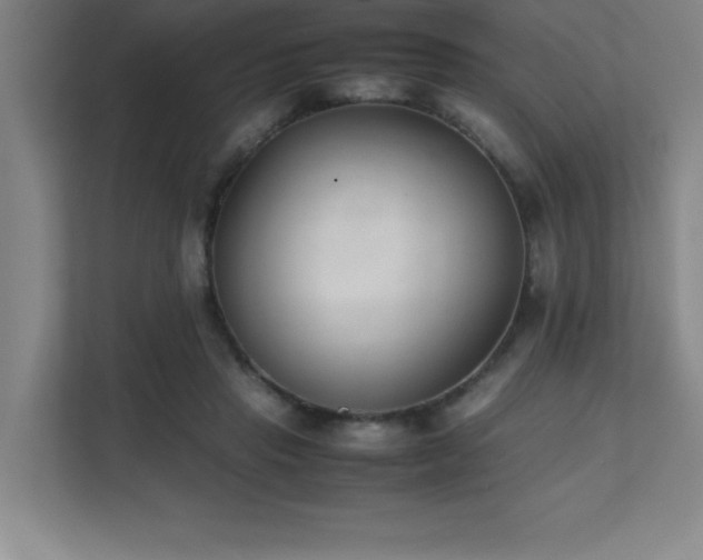 X0000111390453200907101150