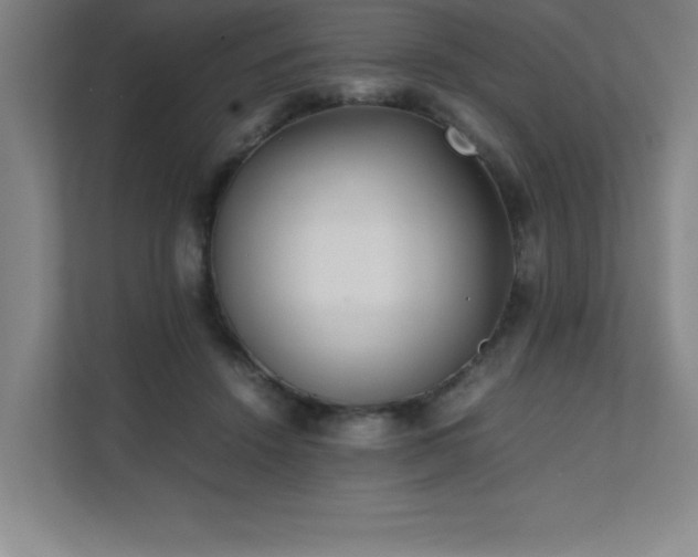 X0000111390456200907101150