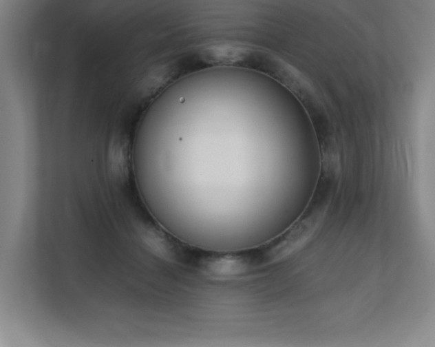 X0000111390460200907101150