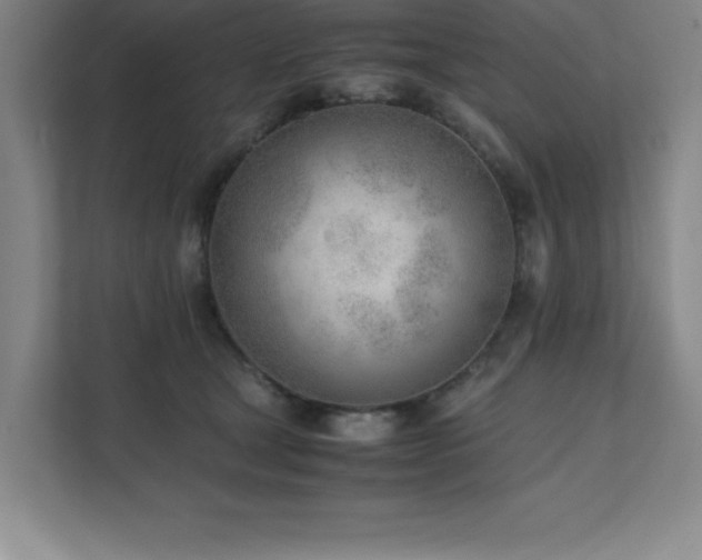 X0000111390465200907101150