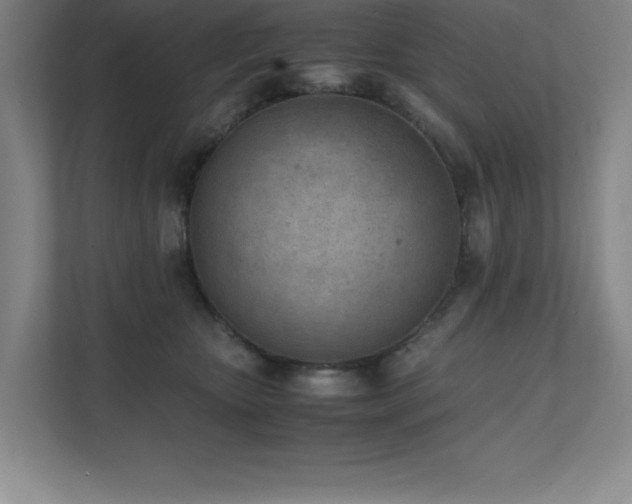 X0000111390467200907101150