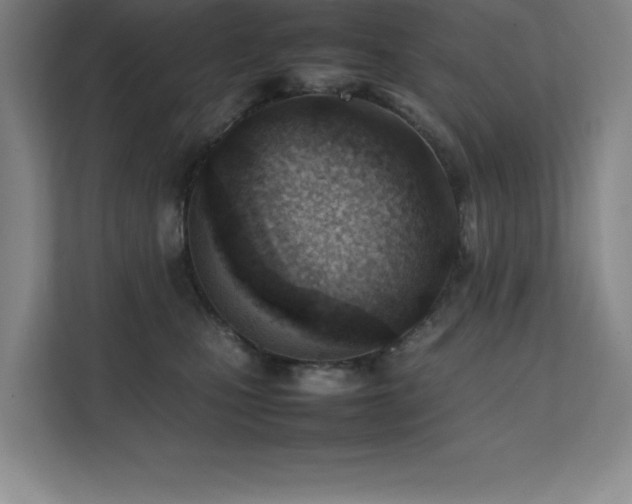 X0000111390471200907101150