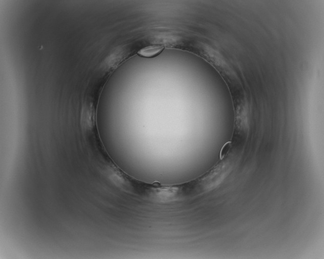 X0000111390474200907101150