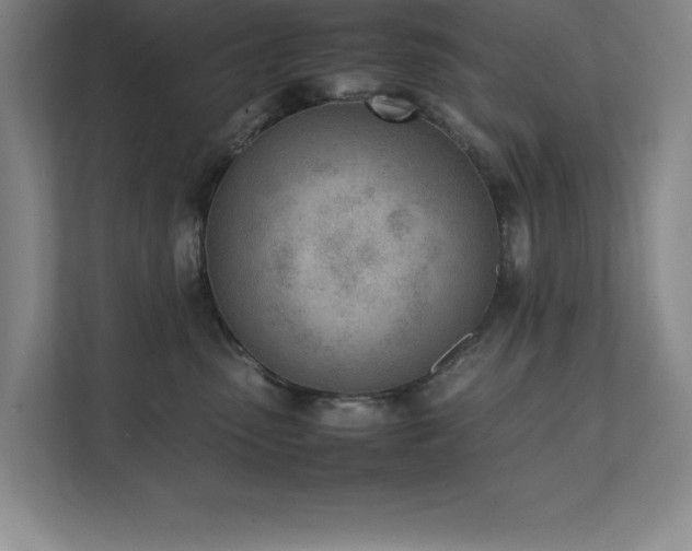 X0000111390475200907101150