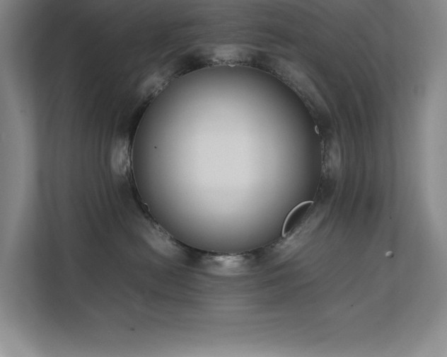 X0000111390478200907101150