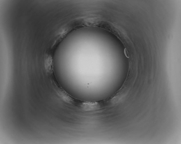 X0000111390480200907101150