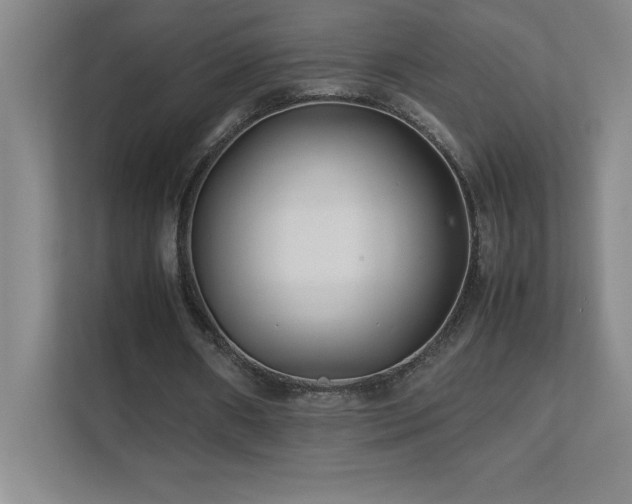 X0000111390482200907101149