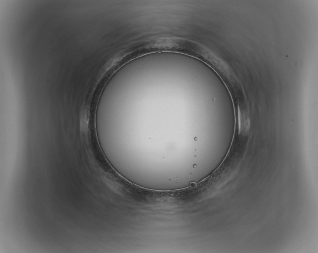 X0000111390483200907101149