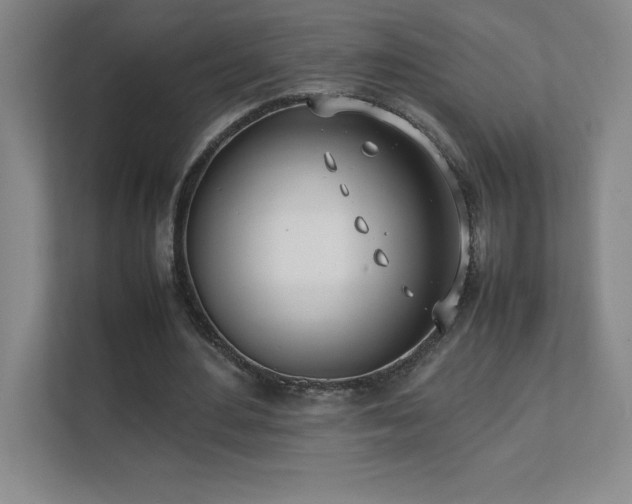 X0000111390484200907101149