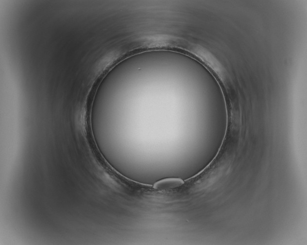 X0000111390485200907101149