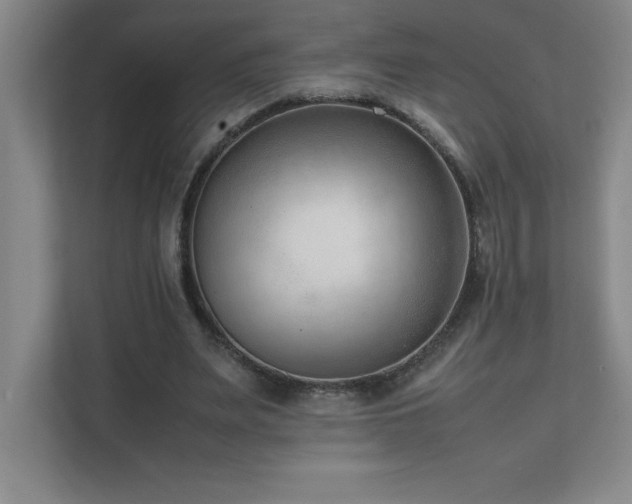 X0000111390487200907101149