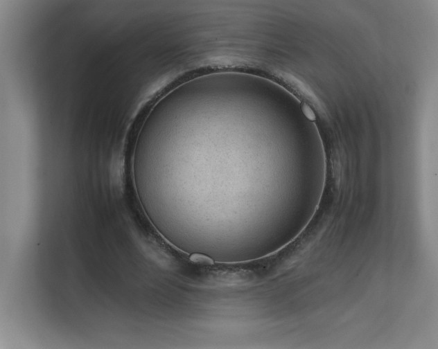 X0000111390488200907101149