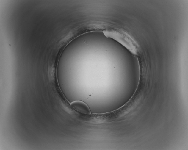 X0000111390489200907101149