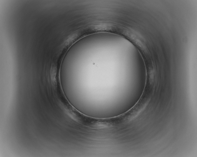 X0000111390490200907101149