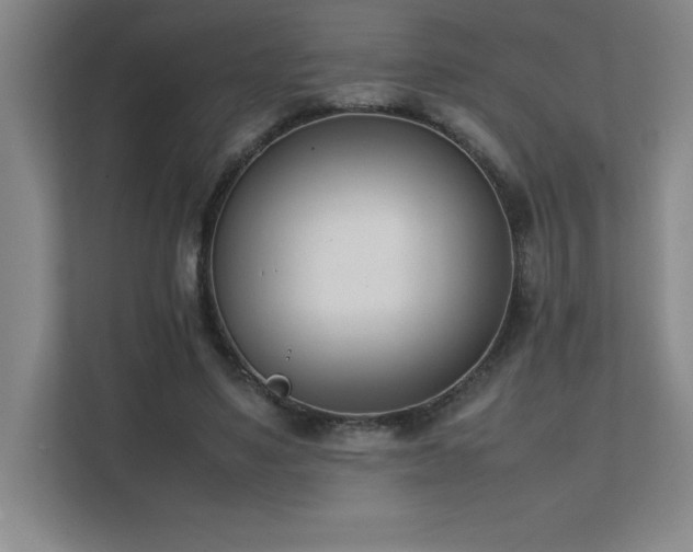 X0000111390491200907101149