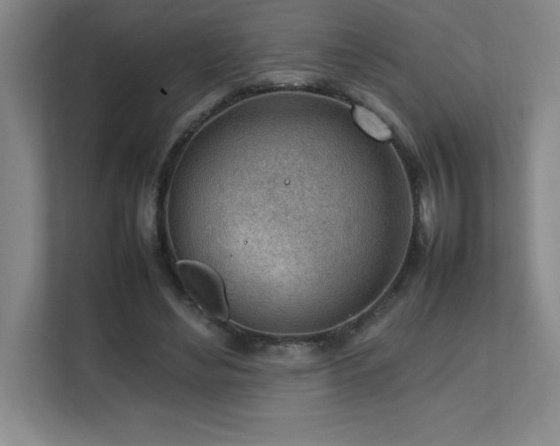 X0000111390492200907101149