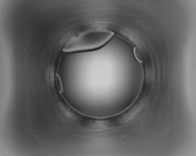 X0000111390493200907101149