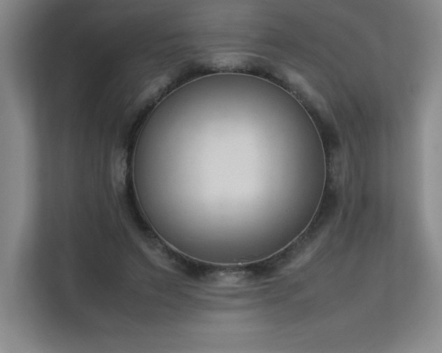 X0000111390495200907101149