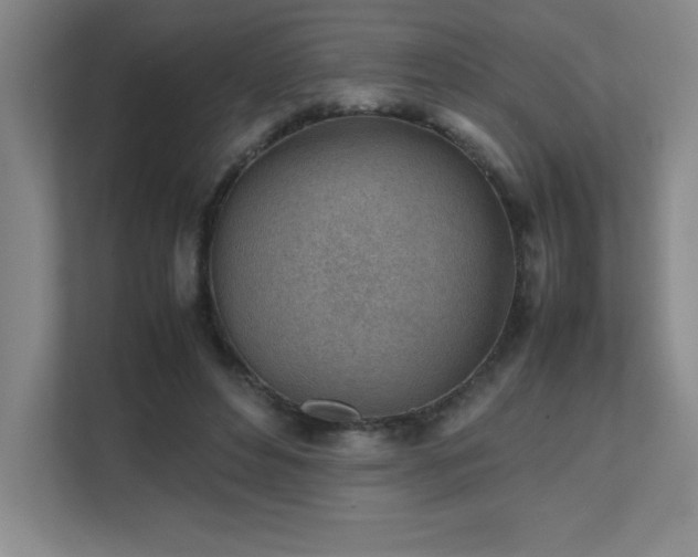 X0000111390496200907101149