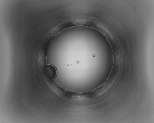 X0000111390498200907101149