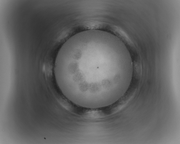 X0000111390499200907101149