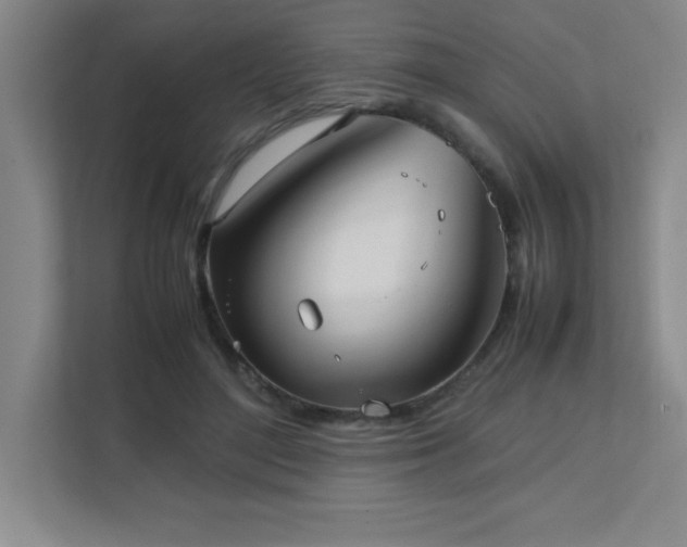 X0000111390500200907101149