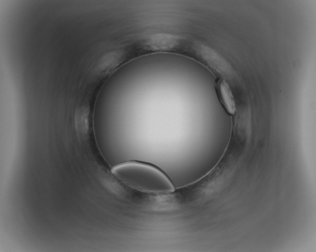 X0000111390501200907101149