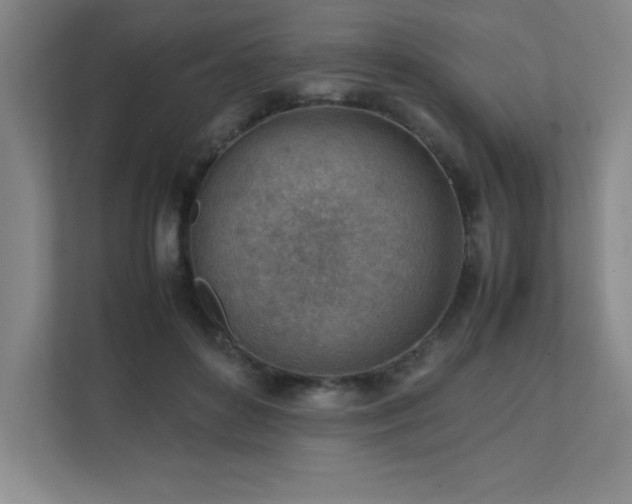 X0000111390504200907101149