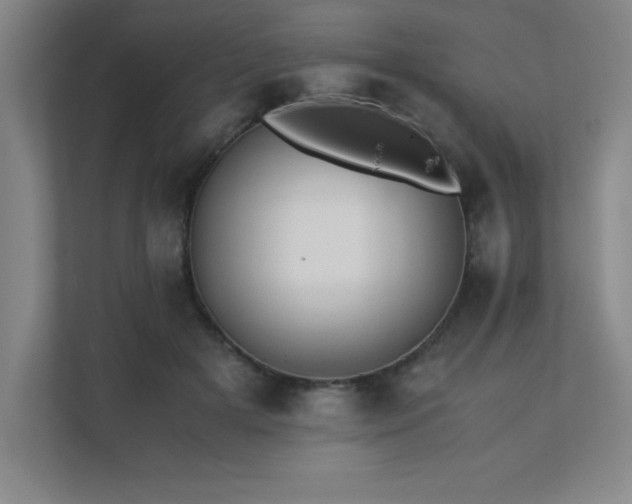 X0000111390505200907101149