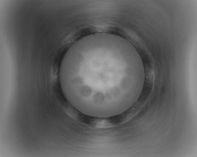 X0000111390507200907101149