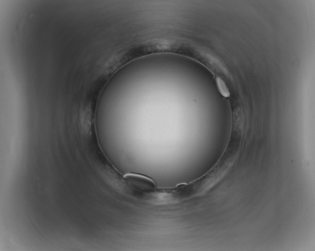 X0000111390509200907101149