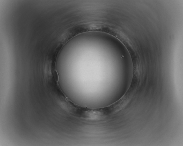 X0000111390512200907101149