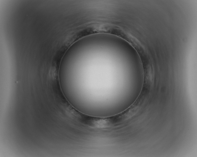 X0000111390513200907101149