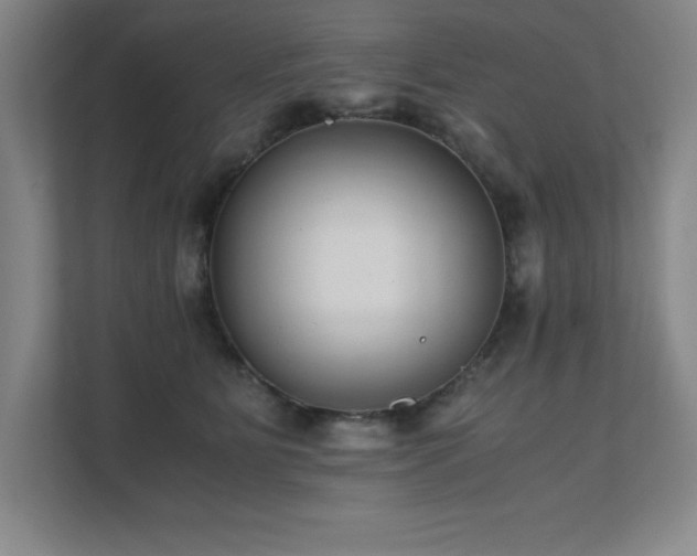 X0000111390515200907101149