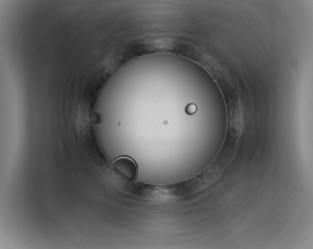 X0000111390518200907101149