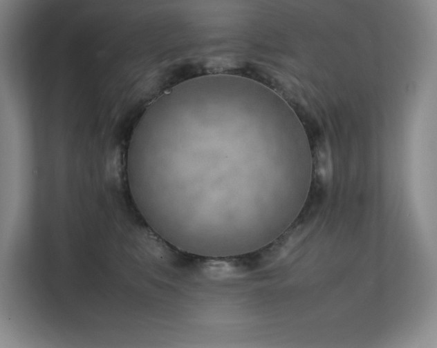 X0000111390519200907101149