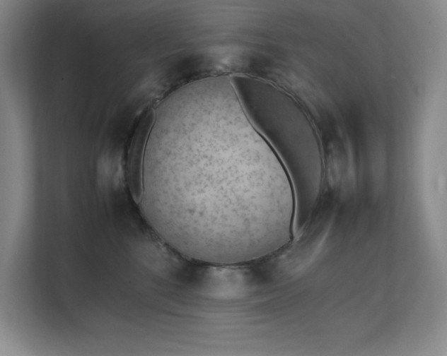 X0000111390520200907101149