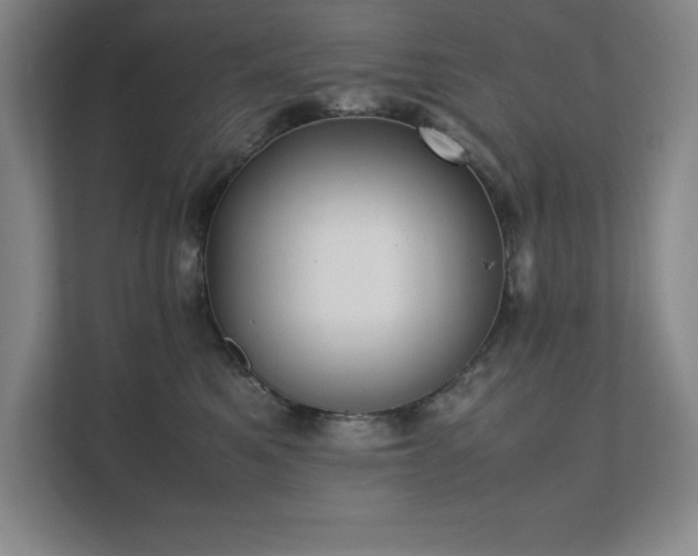 X0000111390521200907101149