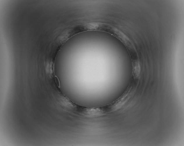 X0000111390525200907101149