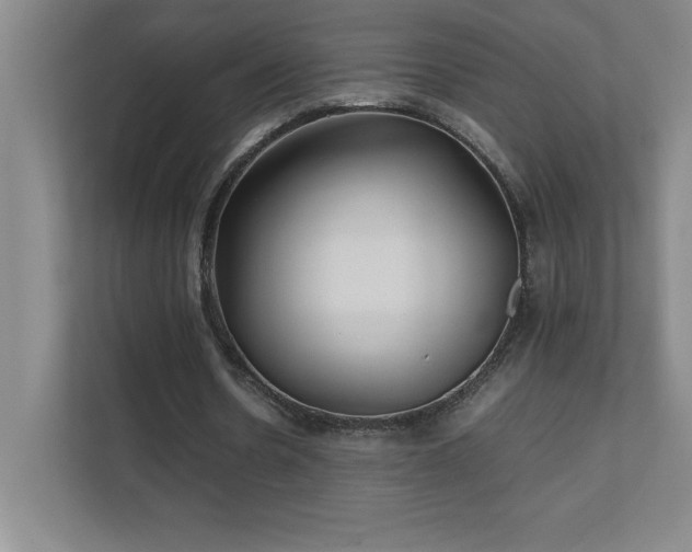 X0000111390530200907101148