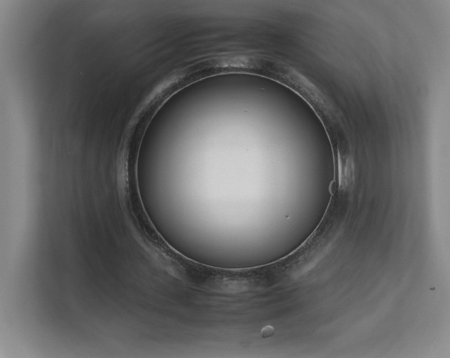 X0000111390531200907101148