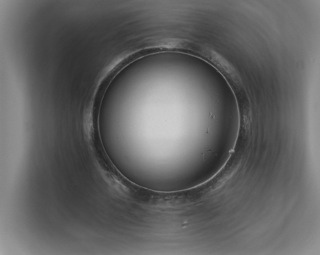 X0000111390532200907101148