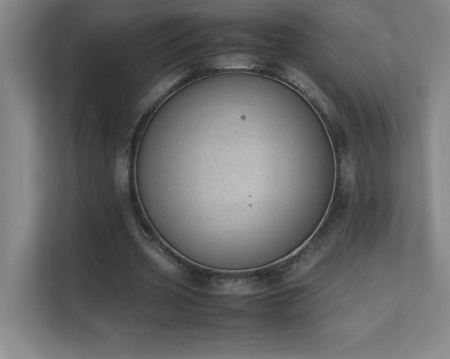 X0000111390533200907101148