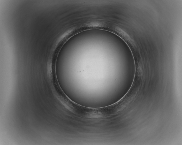 X0000111390535200907101148