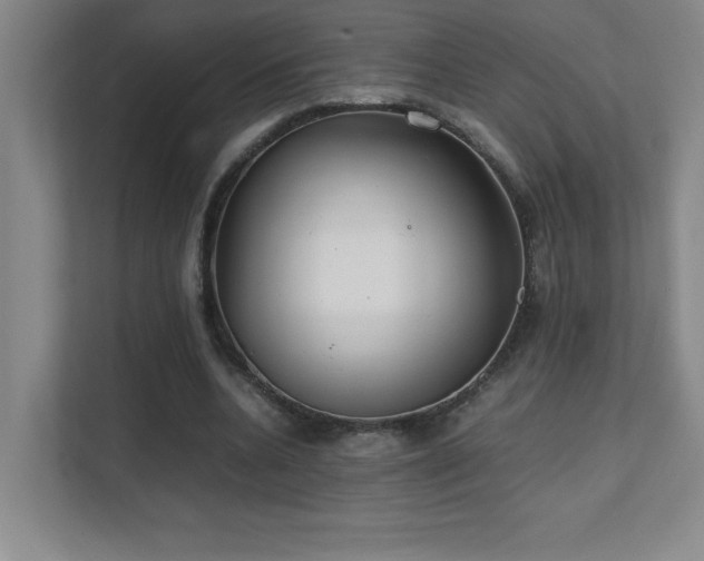 X0000111390536200907101148