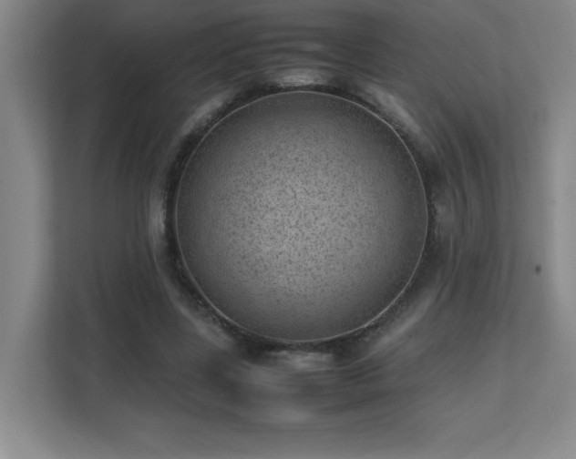 X0000111390539200907101148