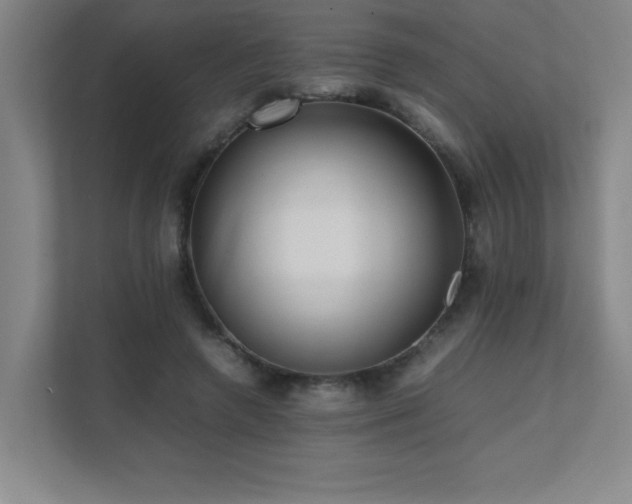 X0000111390546200907101148